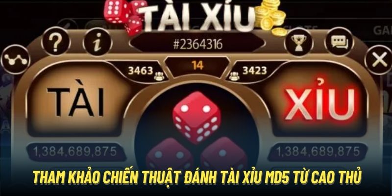 Tham khảo chiến thuật đánh Tài Xỉu MD5 từ cao thủ